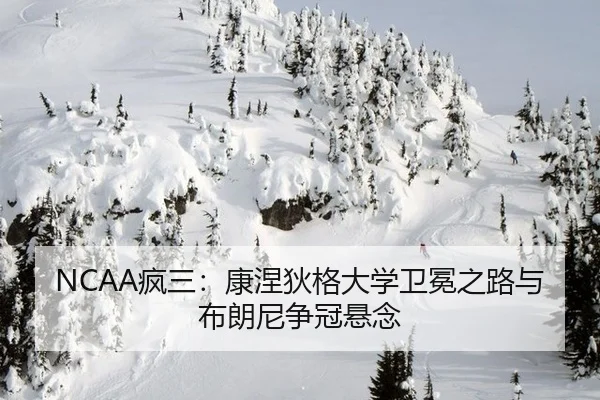 feng-san-kang-nie-di-ge-da-xue-wei-mian-zhi-lu-yu-bu-lang-ni-zheng-guan-xuan-nian-2-900.jpg
