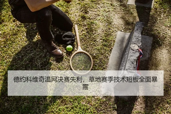 德约科维奇温网决赛失利，草地赛季技术短板全面暴露