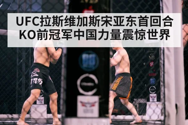 MMA cage fight action